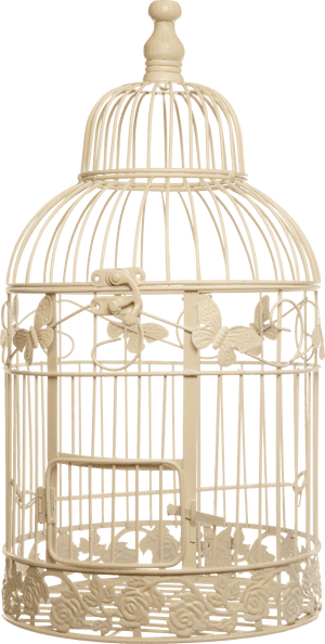 Transparent White Bird Png - Bird Cage Png Transparent, Png Download PNG with transparent background