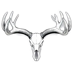 Elegant Deer Antler Outline Png 38 PNG Image