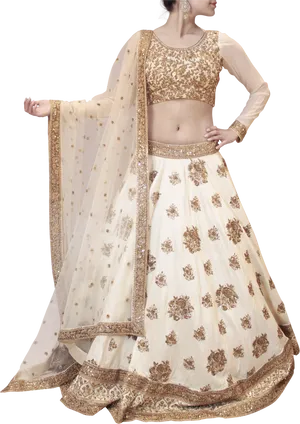 Elegant Embroidered Lehenga Choli PNG Image