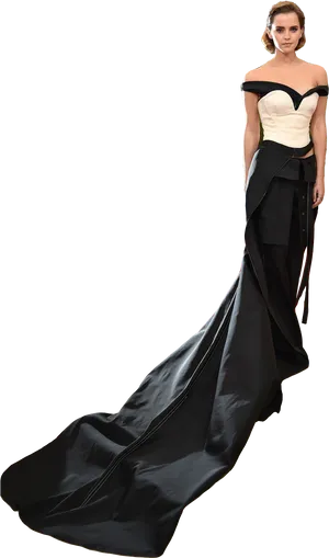 Elegant Evening Gown Portrait PNG Image