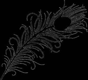 Peacock Feather Clipart Png Black And White - Peacock Feather Black And White, Transparent Png PNG image with transparent background