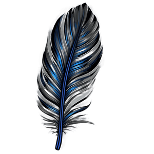 Elegant Feather Illustration PNG 77 PNG image with transparent background