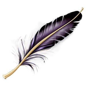 Elegant Feather Illustration PNG mkw97 PNG image with transparent background