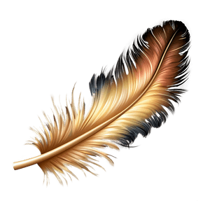 Elegant Feather Illustration PNG ofg PNG image with transparent background