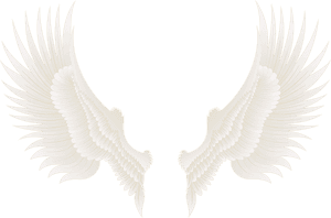 Eyelashes Clipart Gold - Golden Wings Wings Png Hd, Transparent Png PNG with transparent background