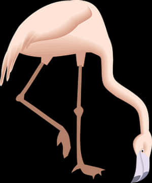 Elegant Flamingo Graphic PNG image with transparent background