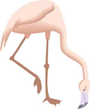 Elegant Flamingo Graphic PNG Image