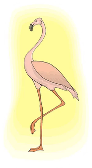 Elegant Flamingo Standing PNG Image