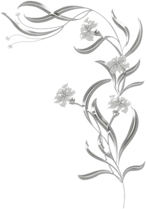 Elegant_ Floral_ Border_ Design PNG Image