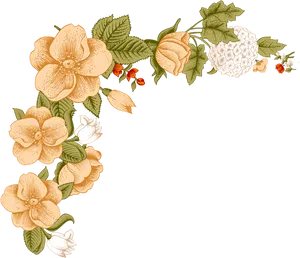 Elegant_ Floral_ Border_ Design PNG Image