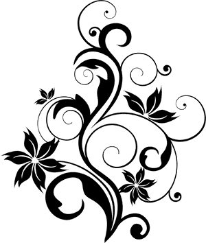 Gambar Bunga Transparent Png, Png Download PNG