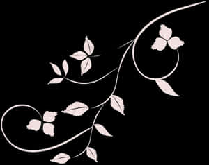 Elegant Floral Designon Black PNG image with transparent background