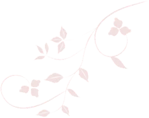 Elegant Floral Designon Black PNG Image