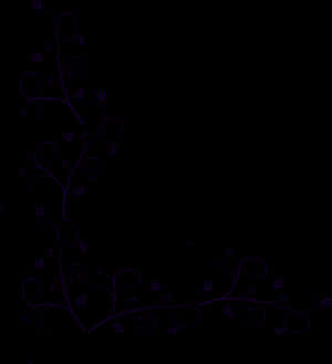 Transparent Embellishment Clipart - White Corner Border Clipart, HD Png Download PNG