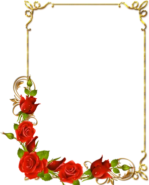 Elegant Floral Page Border PNG Image