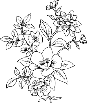 Flower Line Drawing Png, Transparent Png PNG image with transparent background