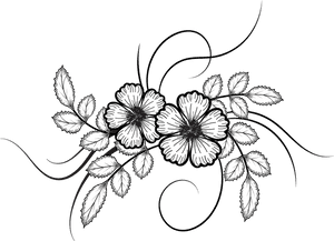 Clip Art Collection Of Free Drawing - Transparent Flower Drawings Png, Png Download PNG image with transparent background