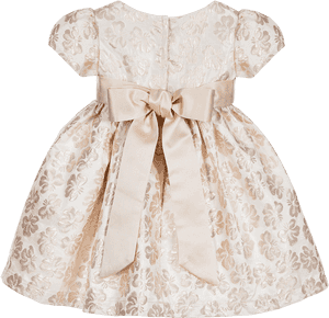 Romano Princess Girls Brocade - Baby Girl Brocade Dress, HD Png Download PNG