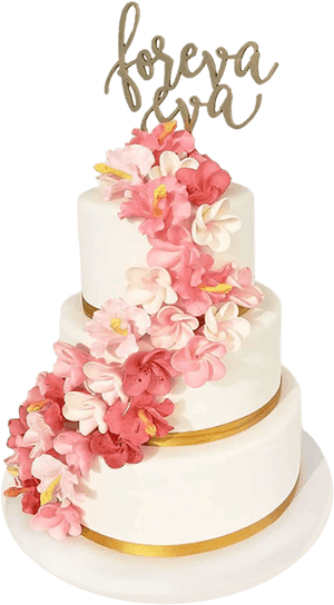 Fake Cake Hawaii, HD Png Download PNG image with transparent background