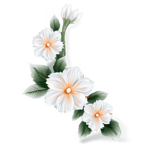 Elegant Flower Border PNG xug37 PNG