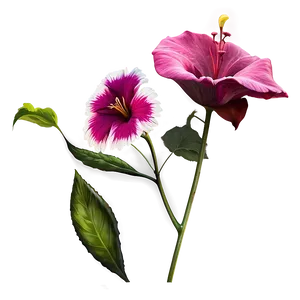 Elegant Flower Stem Png 6 PNG Image