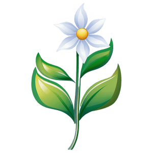 Elegant Flower Transparent PNG cub96 PNG