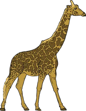 Elegant Giraffe Standing Profile PNG Image