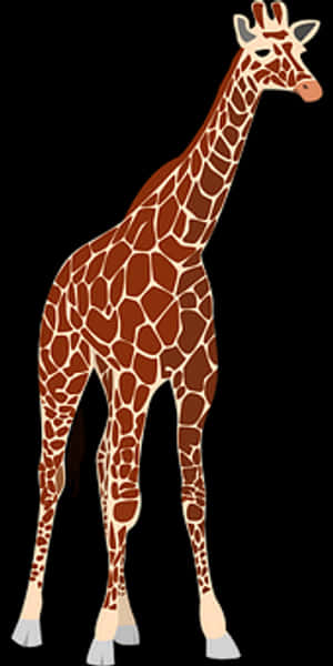 Elegant Giraffe Standing Vector PNG image with transparent background