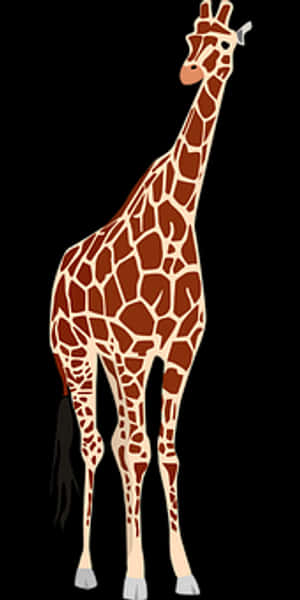 Elegant Giraffe Standing Vector PNG image with transparent background