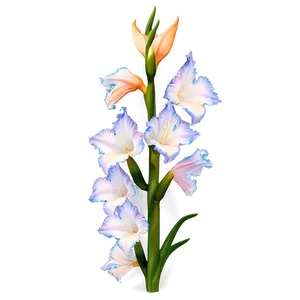 Elegant Gladiolus Png Hsm PNG Image