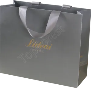 Elegant Gray Paper Shopping Bag PNG Image