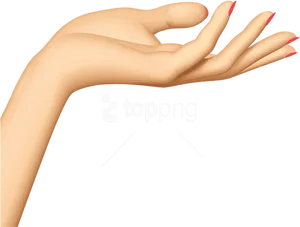 Elegant Hand Gesture Clipart PNG Image