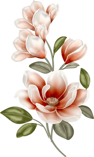 Magnolias, Çizimler, Stickers, Boya Kalemi, Kumaşlar, - Watercolor Magnolia Clipart Free, HD Png Download PNG image with transparent background