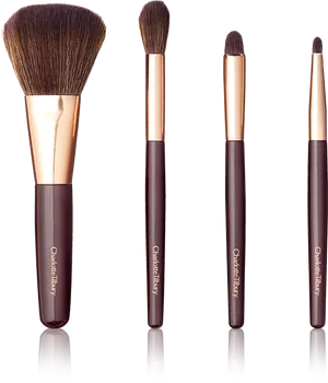 Elegant Makeup Brush Set PNG Image