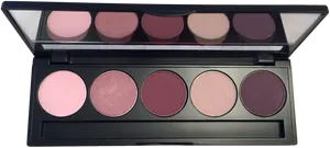 Elegant Makeup Palette Array PNG Image