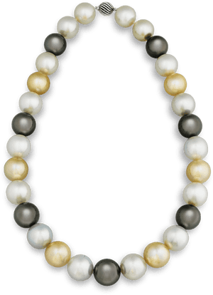 Multi-color South Sea Pearl Necklace - South Sea Pearls, HD Png Download PNG with transparent background
