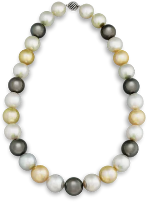 Elegant Multi Colored Pearl Necklace PNG Image