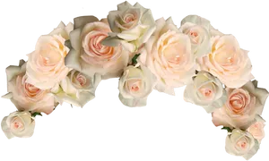 Elegant Pale Roses Arrangement PNG Image