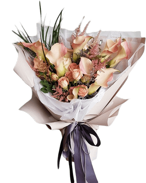Transparent Calla Lily Png, Png Download PNG