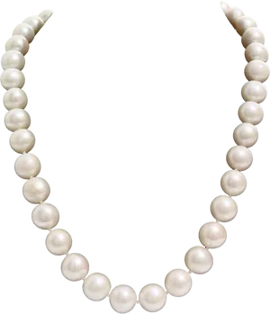 Elegant Pearl Necklace PNG Image