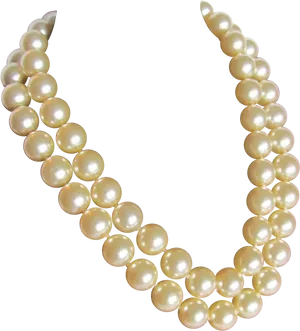 Elegant Pearl Necklace PNG Image