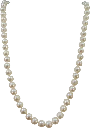 Elegant Pearl Necklace PNG Image