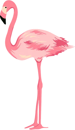 Elegant Pink Flamingo Standing PNG Image