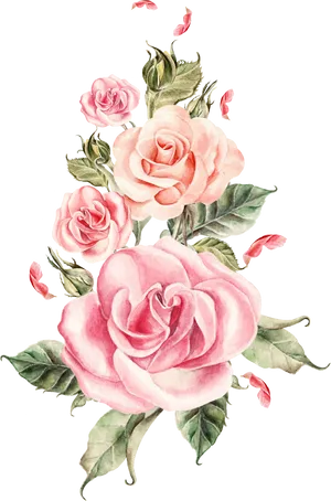 Elegant_ Pink_ Roses_ Artwork PNG Image