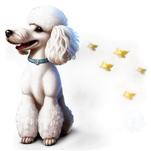 Elegant Poodle Profile Png Fwn PNG Image