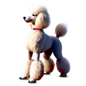 Elegant Poodle Profile Png Gya22 PNG Image