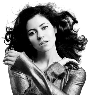 Elegant Portrait Silver Dress PNG Image