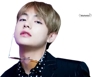 Elegant_ Portrait_ Taehyung_ B T S PNG Image