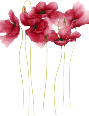 Watercolor Painting Flower Drawing Art Watercolor Flowers - Watercolor Painting Flowers Png, Transparent Png PNG image with transparent background