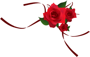 Vertical Vector Rose - Transparent Red Rose Vector, HD Png Download PNG image with transparent background